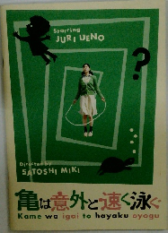 亀は意外と速く泳ぐ