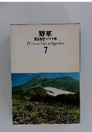 野草 原色学習ワイド図鑑 Picture Encyclopedia 7