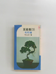 豆盆栽(3)　松柏編