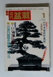 MONTHLY MAGAZINE THE CONTEMPORARY BONSAI　盆栽　1993年1月号