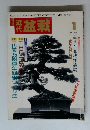 MONTHLY MAGAZINE THE CONTEMPORARY BONSAI　盆栽　1993年1月号