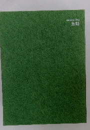 Life Nature Library 魚類