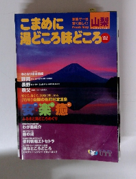 こまめに湯どころ味どころ　　山梨