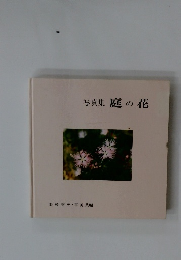 写真集 庭の花