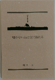 啼かない鳥は空に溺れる