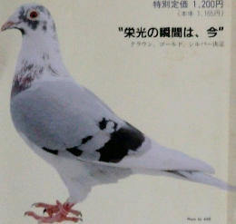 ビジョンスポーツマガジン　1993年2月