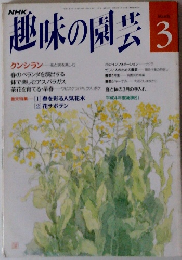 趣味の園芸　1991年3月号