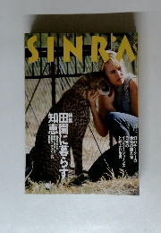 SINRA　1995年11月号