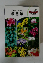 ブログでつづる花日記　花楽祭