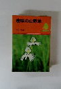 趣味の山野草
