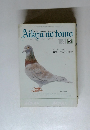ビジョン・スリー・マガジン 愛鳩の友　1991年5月号