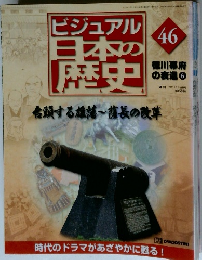 ビジュアル日本の歴史 46