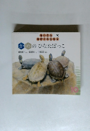 かめのひなたぼっこ　10