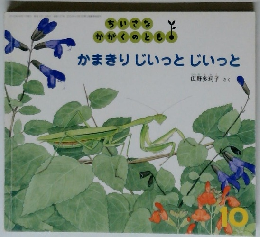 ちいさな かがくのとも かまきりじいっとじいっと 10