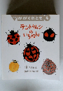 月刊 かがくのとも 4　テントウムシのいちねん