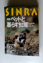 SINRA　1995年12月号　No.60