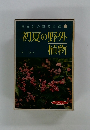 初夏の野外植物