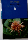 花・作物 原色学習ワイド図鑑８