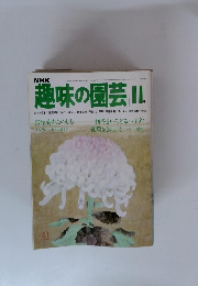 趣味の園芸　1979年11月号
