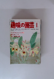 趣味の園芸　1月号　デンドロビュームの仲間園芸カレンダー冬の病害虫対策