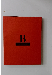 B THE WORLD OF BRUEGEL