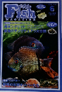 Fish MAGAZINE　2006年6月号