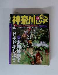 神奈川レジャー　日帰り　1999年