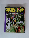 神奈川レジャー　日帰り　1999年