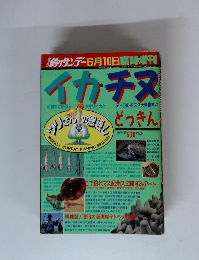 イカチヌ　1996年6月