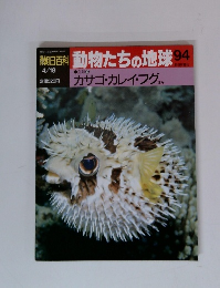 動物たちの地球 94
