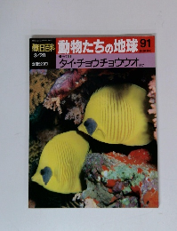 朝日百科 動物たちの地球 91 