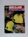 朝日百科 動物たちの地球 91 