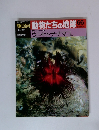 朝日百科動物たちの地球66