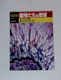 朝日百科　動物たちの地球　84