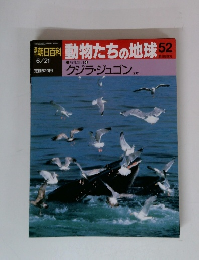 朝日百科　動物たちの地球　52