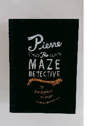 The MAZE DETECTIVE