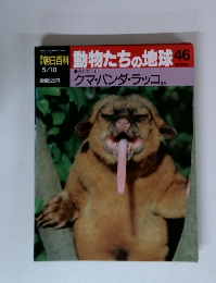 朝日百科 動物たちの地球46　　クマ・パンダ・ラッコ