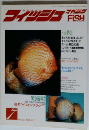 フィッシュFSH　1991年７月号