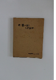 続・思い出のしずおか