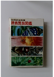 原色昆虫図鑑