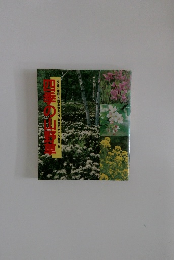 四季の山野草 写真集   花の咲く季節で分類・薬効・食べ方・果実酒のやさしい解説つき 