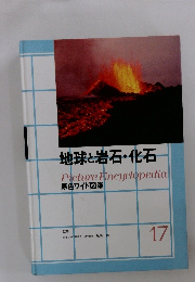 地球と岩石・化石17　原色ワイド図鑑