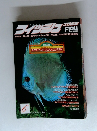 フィッシュマガジン 1995年6月　No.351