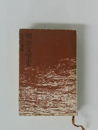 明治文学史 