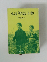 小説智恵子抄