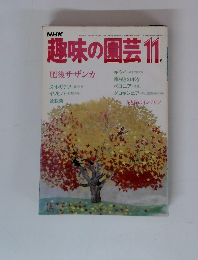 趣味の園芸11