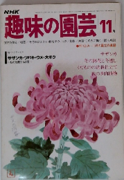 趣味の園芸11月号