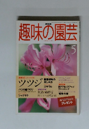 NHK趣味の園芸　1998年5月号