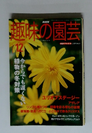 趣味の園芸　１２