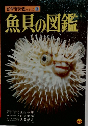 新学習図鑑シリーズ 3 魚貝の図鑑